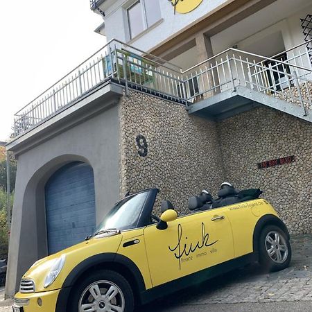 Villa Fink Schramberg Kültér fotó