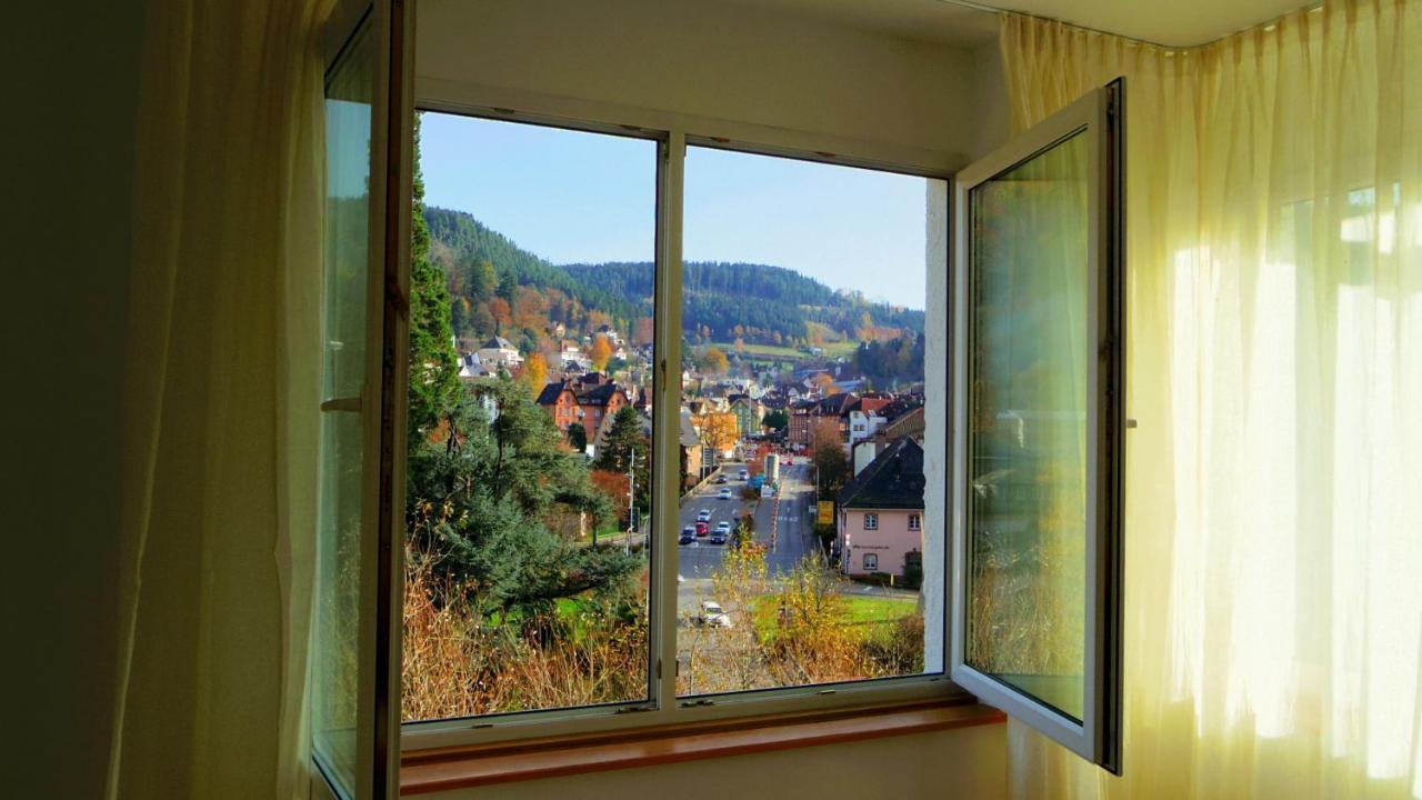 Villa Fink Schramberg Kültér fotó