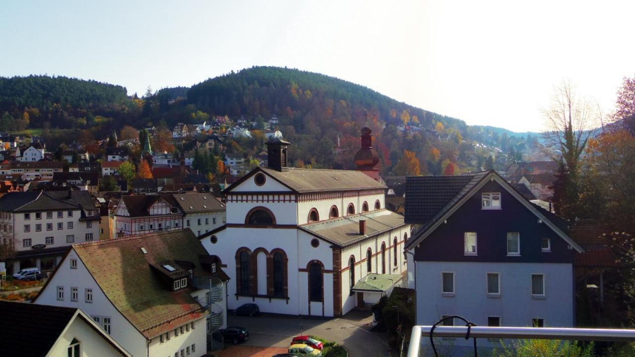 Villa Fink Schramberg Kültér fotó