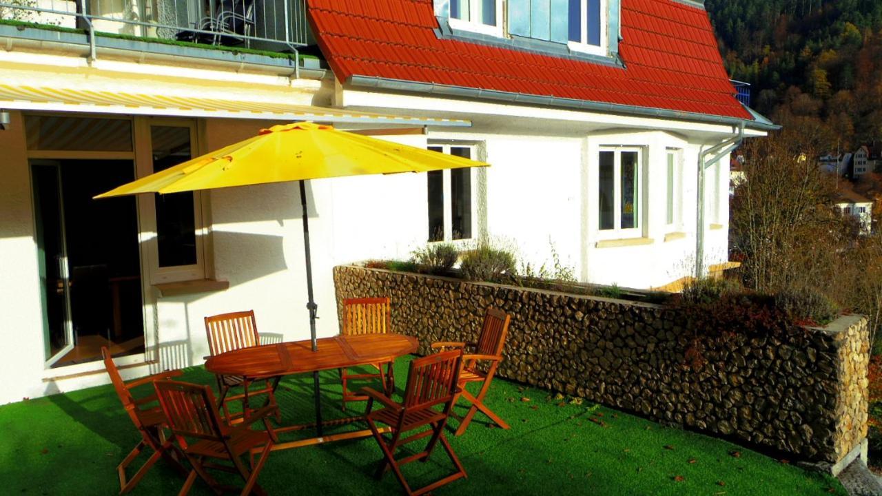 Villa Fink Schramberg Kültér fotó