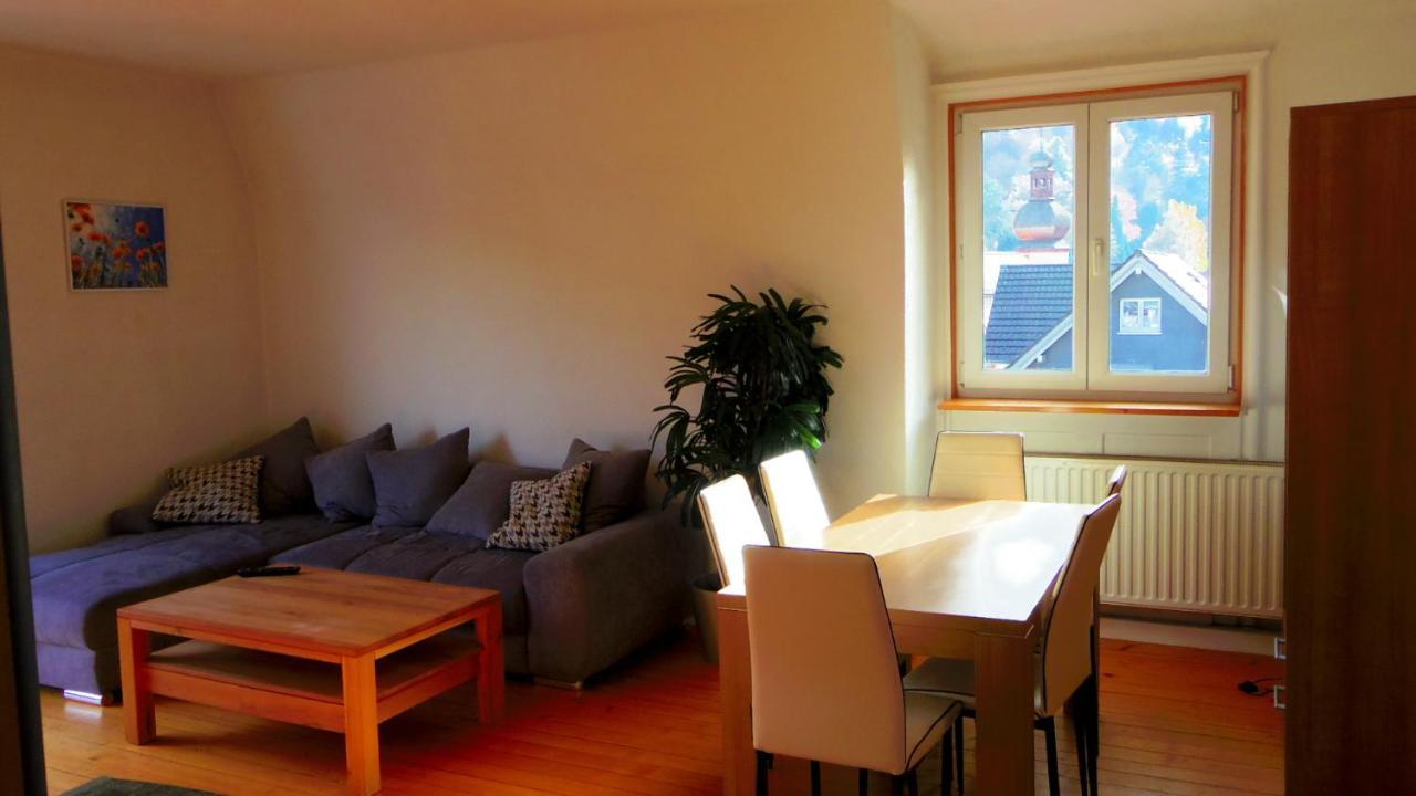 Villa Fink Schramberg Kültér fotó