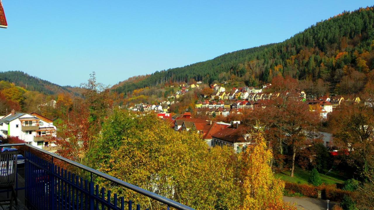 Villa Fink Schramberg Kültér fotó