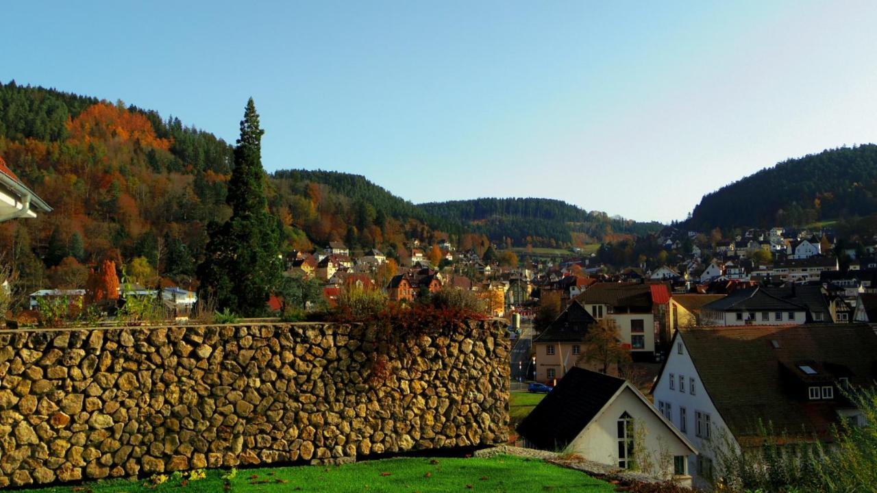 Villa Fink Schramberg Kültér fotó