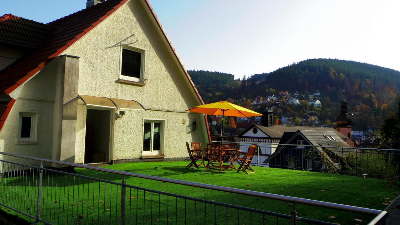 Villa Fink Schramberg Kültér fotó