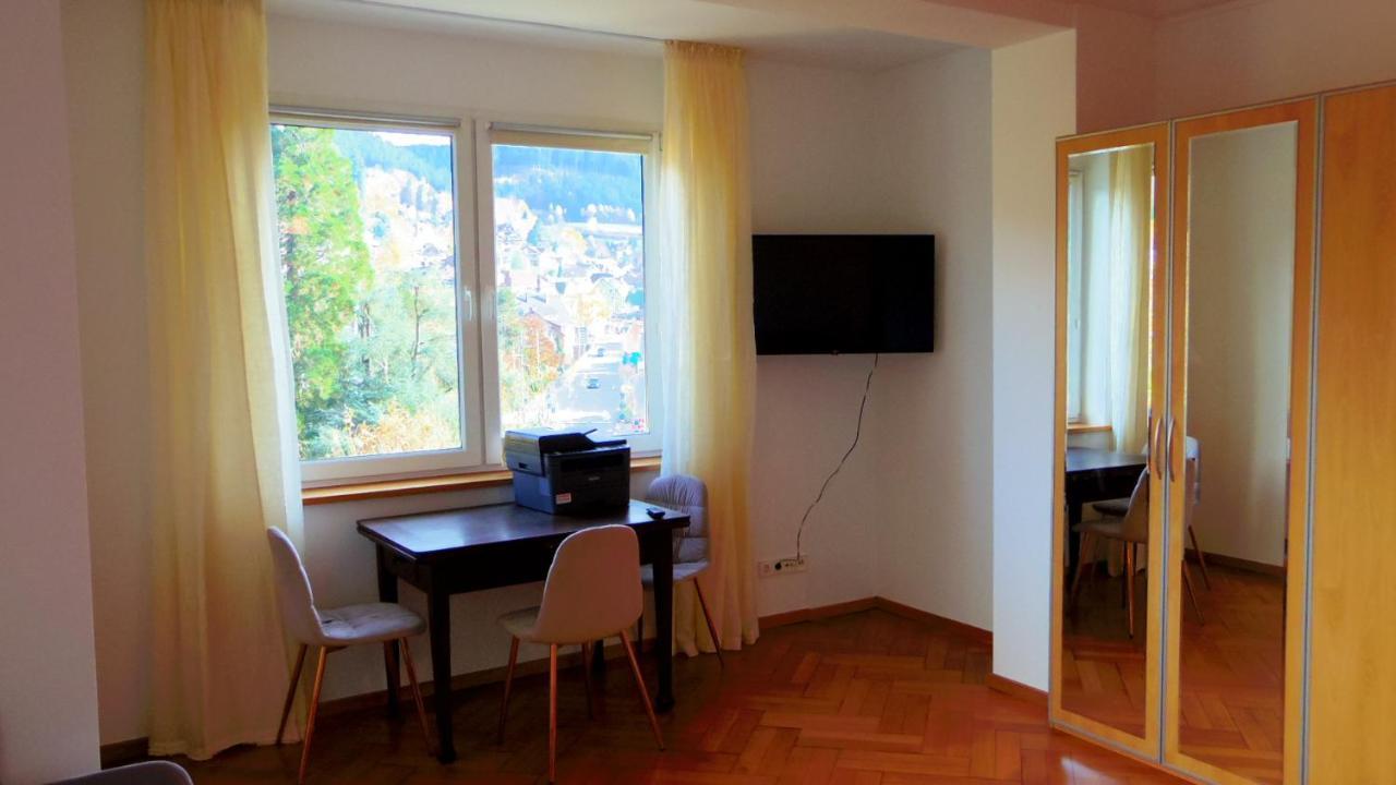 Villa Fink Schramberg Kültér fotó