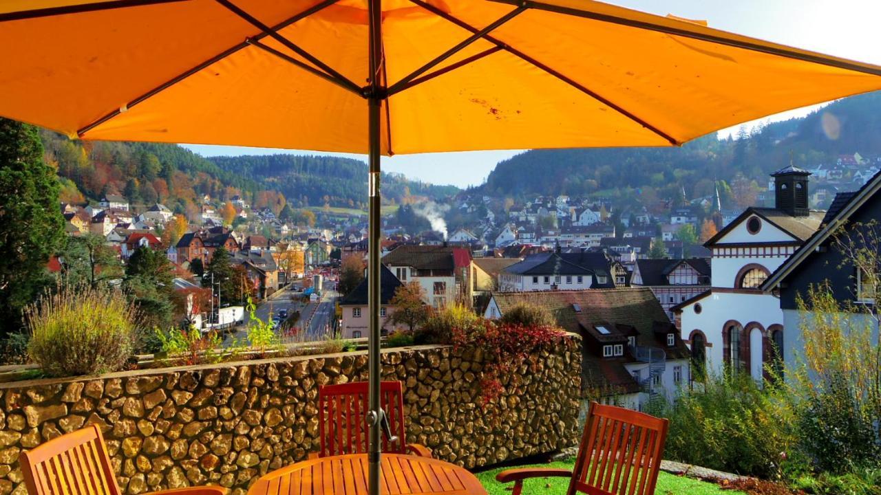 Villa Fink Schramberg Kültér fotó