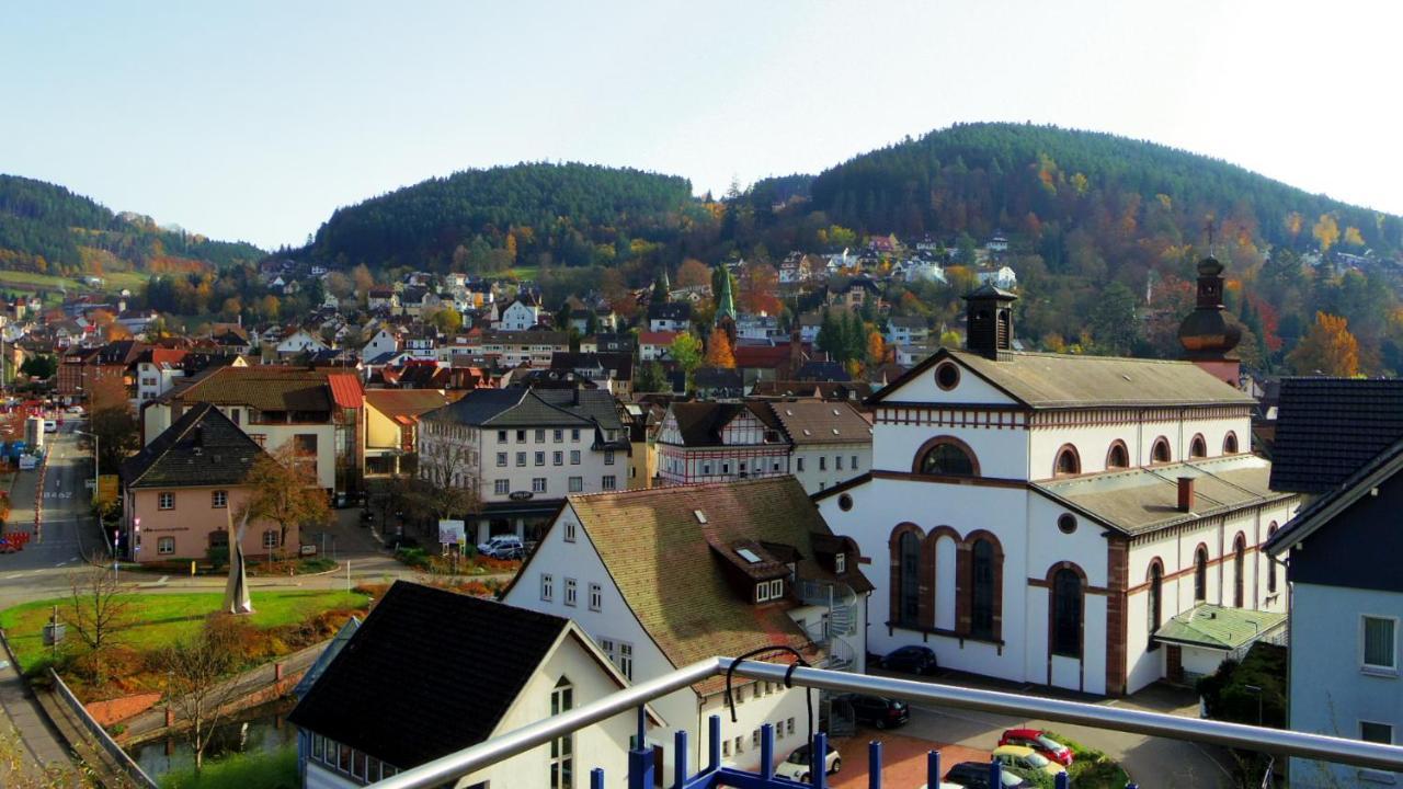 Villa Fink Schramberg Kültér fotó