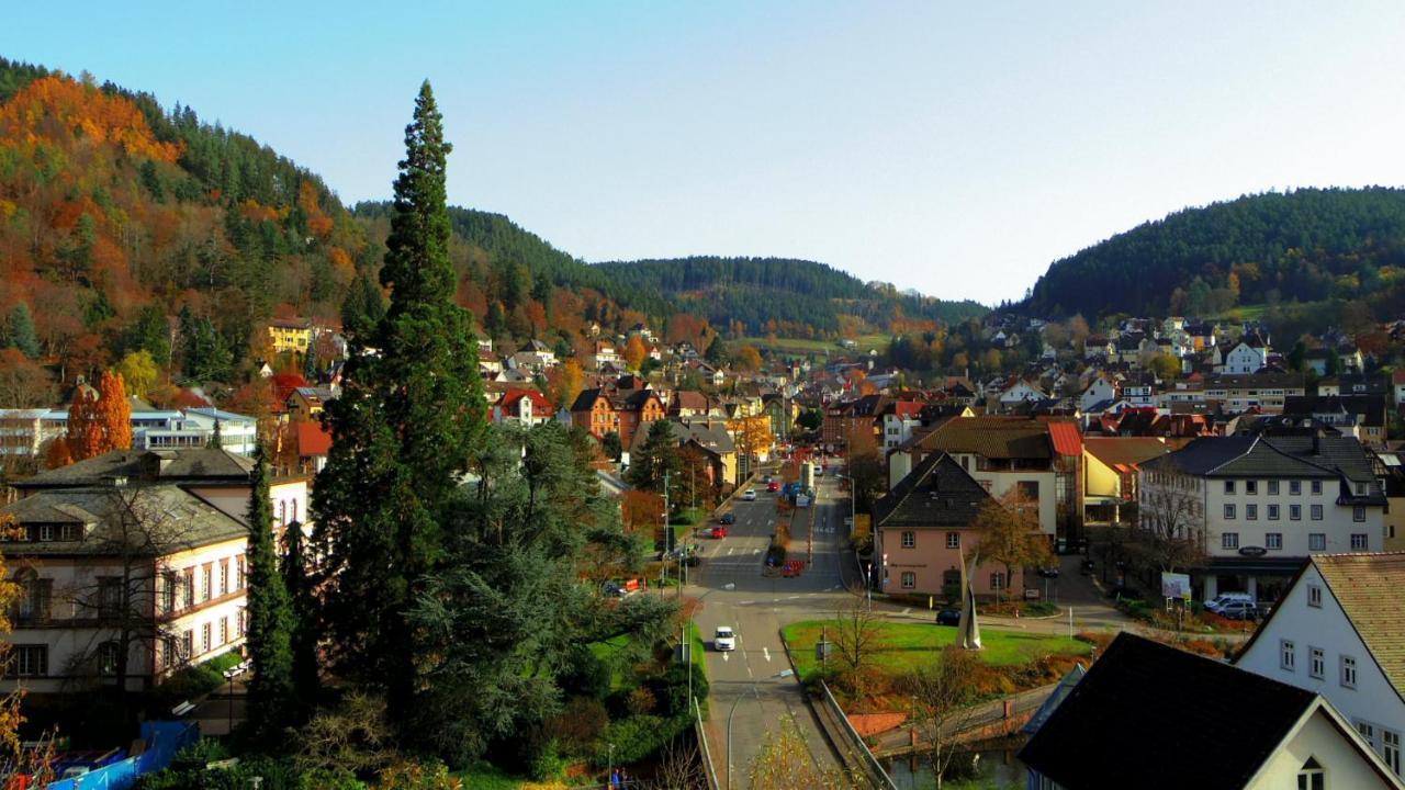 Villa Fink Schramberg Kültér fotó