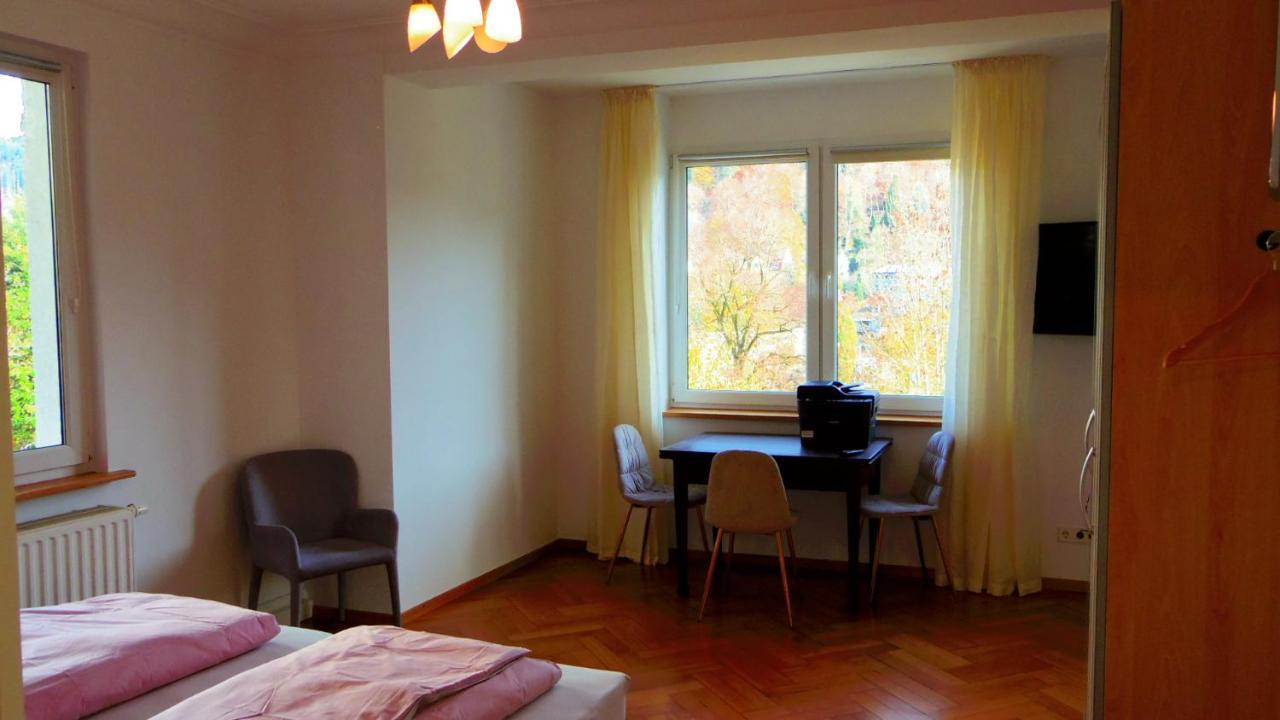 Villa Fink Schramberg Kültér fotó