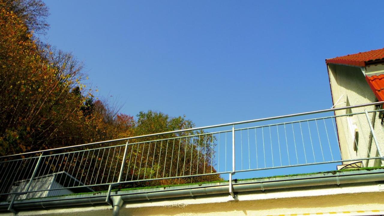 Villa Fink Schramberg Kültér fotó