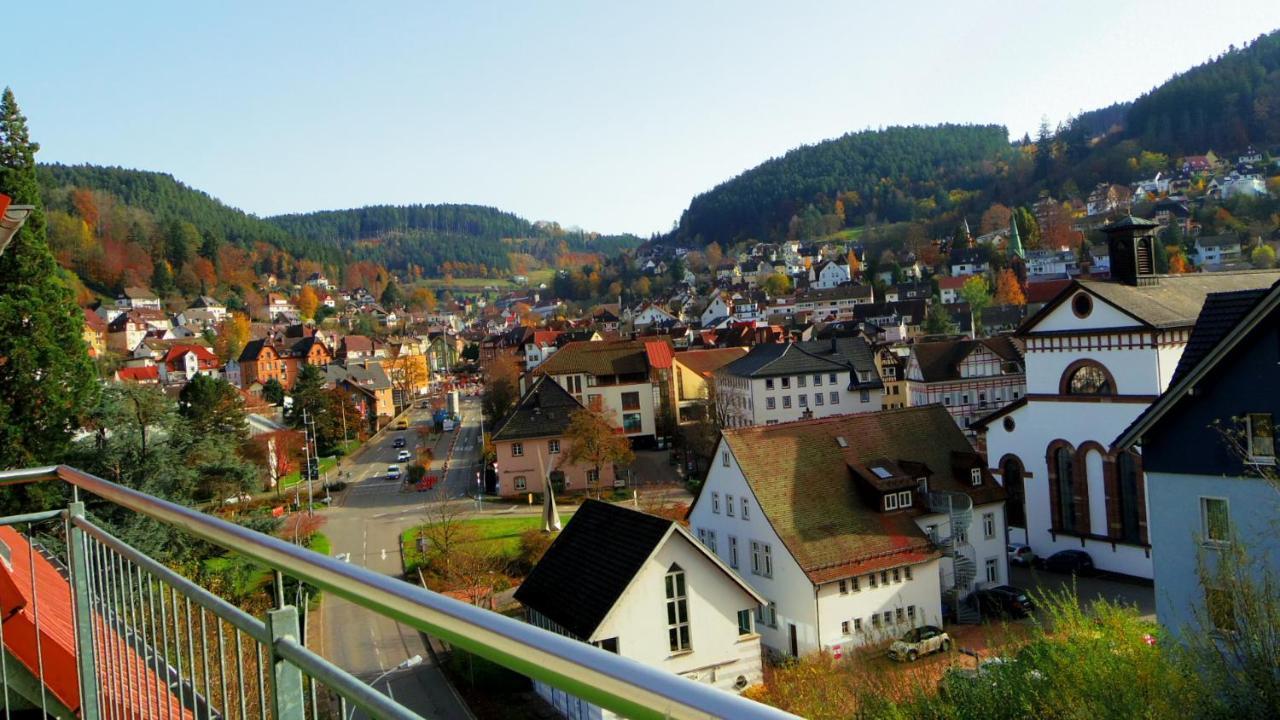 Villa Fink Schramberg Kültér fotó